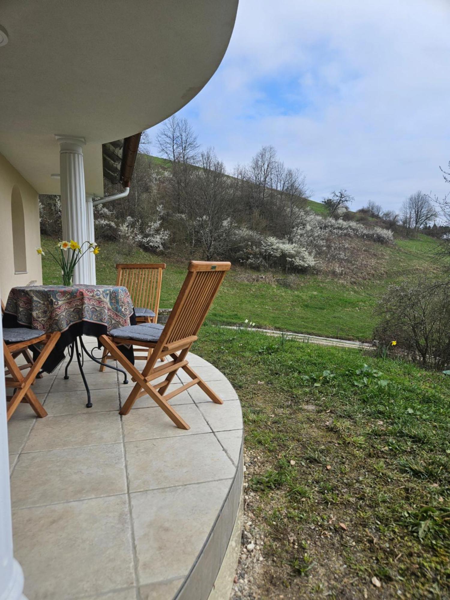 House Tereza Near Olimje, Podcetrtek Pristava pri Mestinju